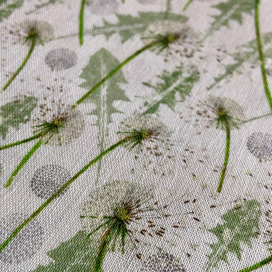 Acufactum Bellis and Dandelions