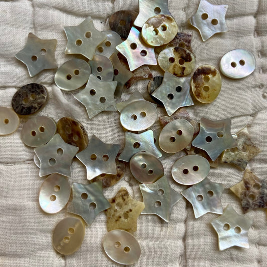 Shell Buttons - Item 23435