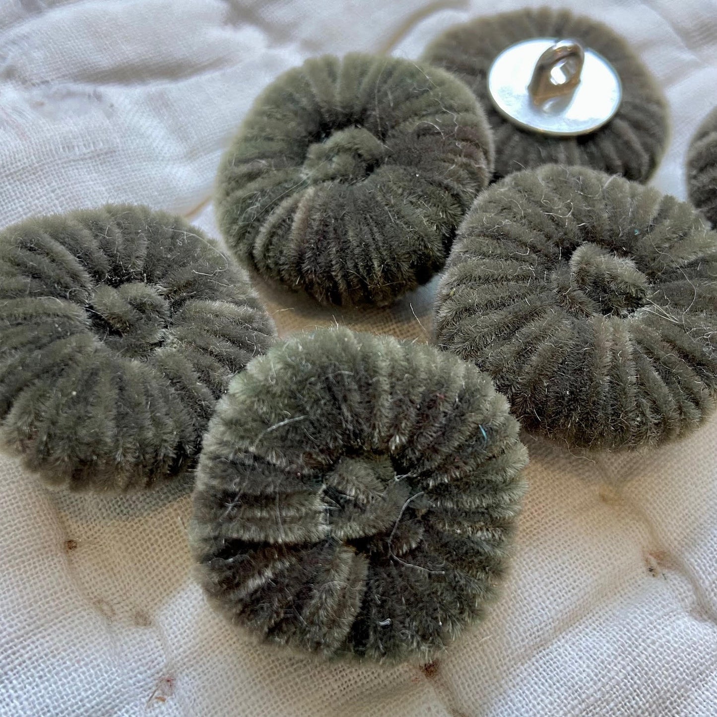 Velvet Covered Buttons - Item 23488